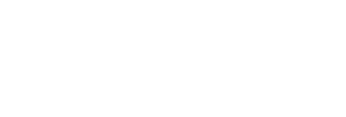 Nationaal Dataportaal Wegverkeer